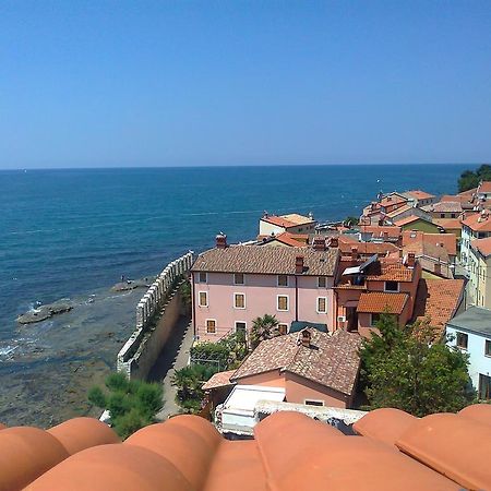 Apartments Edo Novigrad Istria Extérieur photo