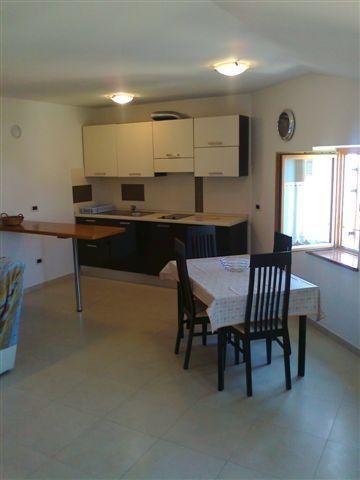 Apartments Edo Novigrad Istria Extérieur photo