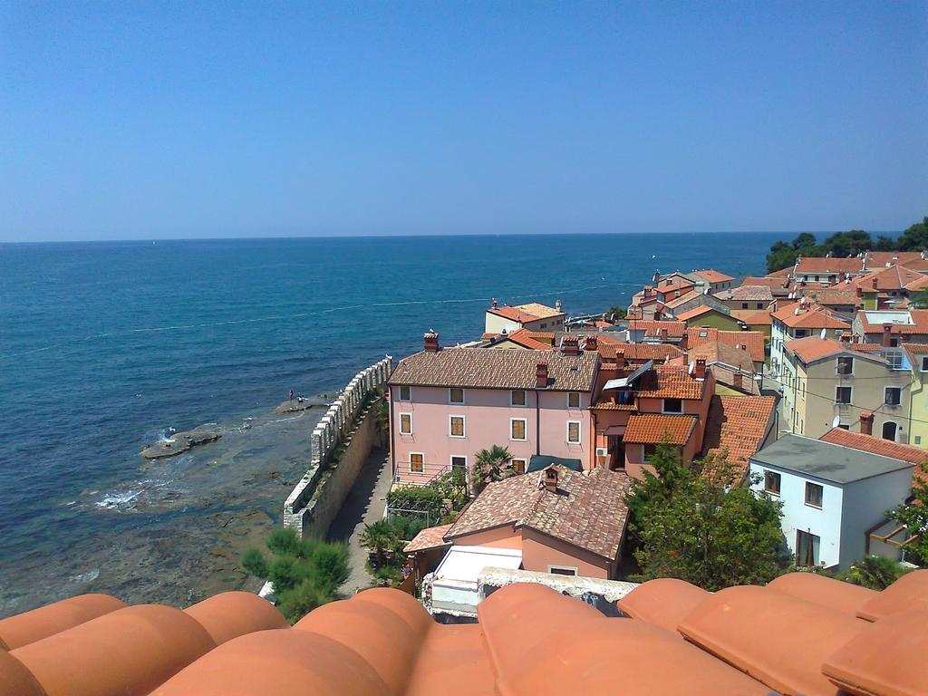 Apartments Edo Novigrad Istria Extérieur photo